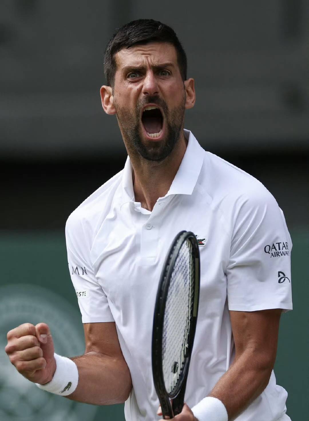 开云体育在线登录-顶尖球员逐步崭露头角，表现出色抢滩赛场的简单介绍